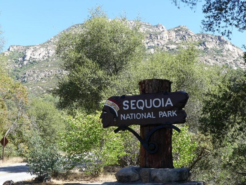 Day 1: Sequoia National Park